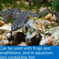 API Turtle Fix Antibacterial Turtle Remedy (8 oz)