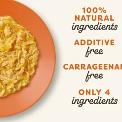 Applaws Chicken Breast with Pumpkin Canned Cat Food, 5.5-oz, case of 24