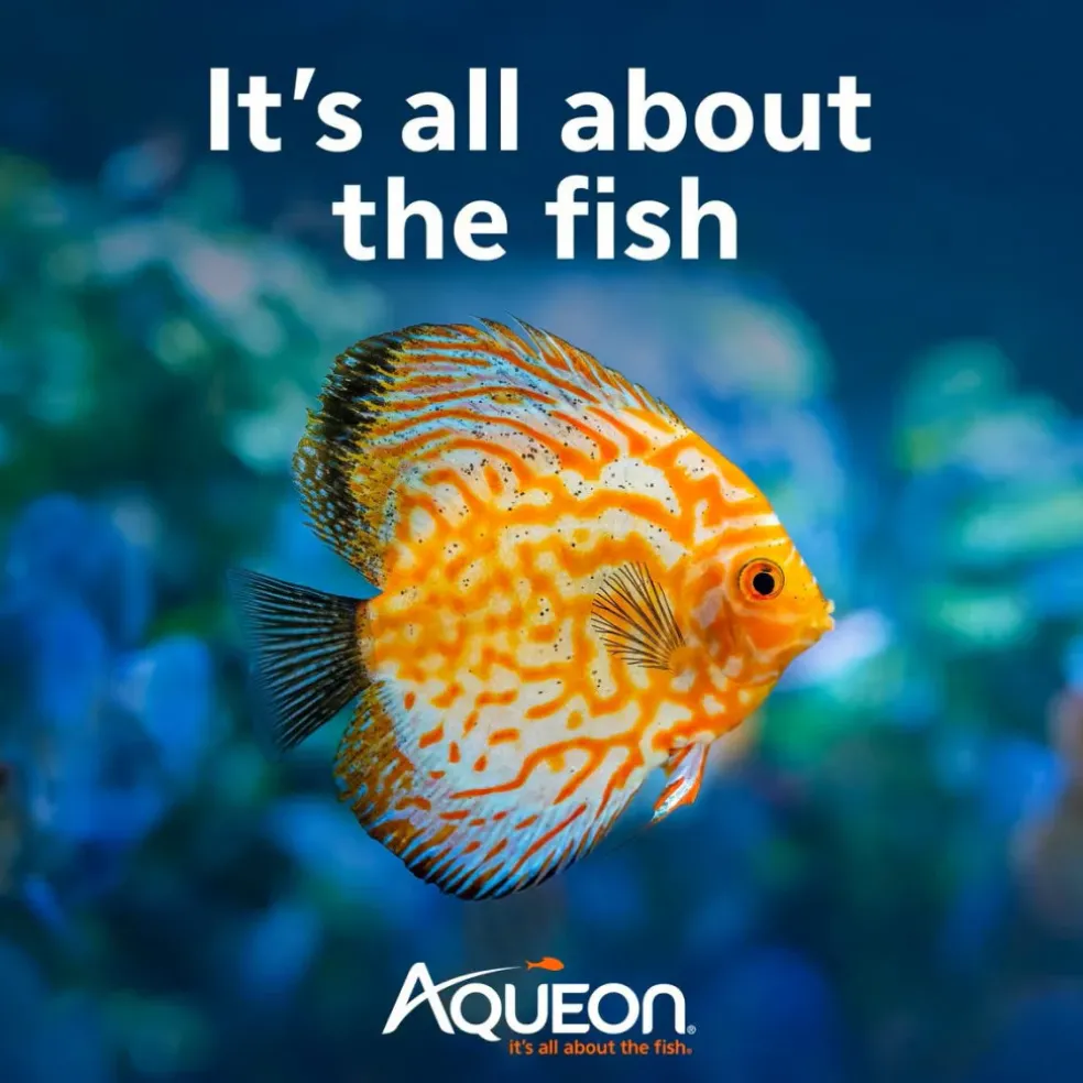 Aqueon AquaPacs Ammonia Reducer
