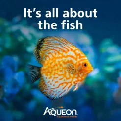 Aqueon AquaPacs Water Clarifier