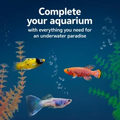 Aqueon Aquarium Essentials Kit