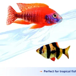 Aqueon Nutrinsect Tropical Pellets (1.76 oz)