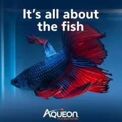 Aqueon PURE Betta Beads (8.8 oz)