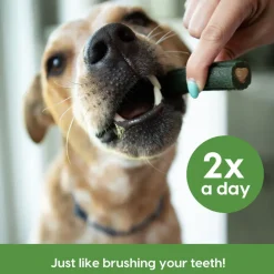 Ark Naturals Brushless Toothpaste Dental Chews 4-in-1 for Large Dogs, 40-count