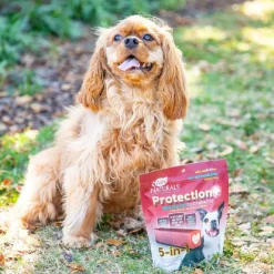 Ark Naturals 5-in-1 Protection Plus Fortified Brushless Toothpaste Chews for Small Dogs (12 oz)