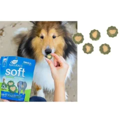 Ark Naturals 4-in-1 Soft Brushless Toothpaste Dental Chews for Small Dogs (12 oz)
