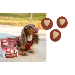 Ark Naturals 5-in-1 Soft Shield Protection+ Brushless Toothpaste Chews for Small Dogs (12 oz)