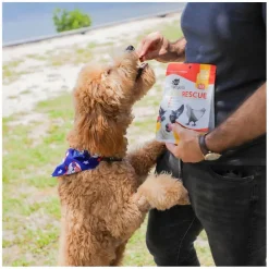Ark Naturals Joint Rescue Mobility Support Chicken Jerky Strips For Dogs (9 oz)