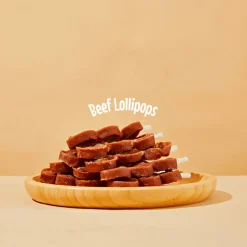 Arya Sit Dental Chew Beef Lollipop for Dogs & Cats