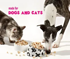 Arya Sit Freeze-Dried Capelin Treats for Dogs & Cats