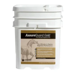 Assure Guard Gold Digestive Aid for Horses