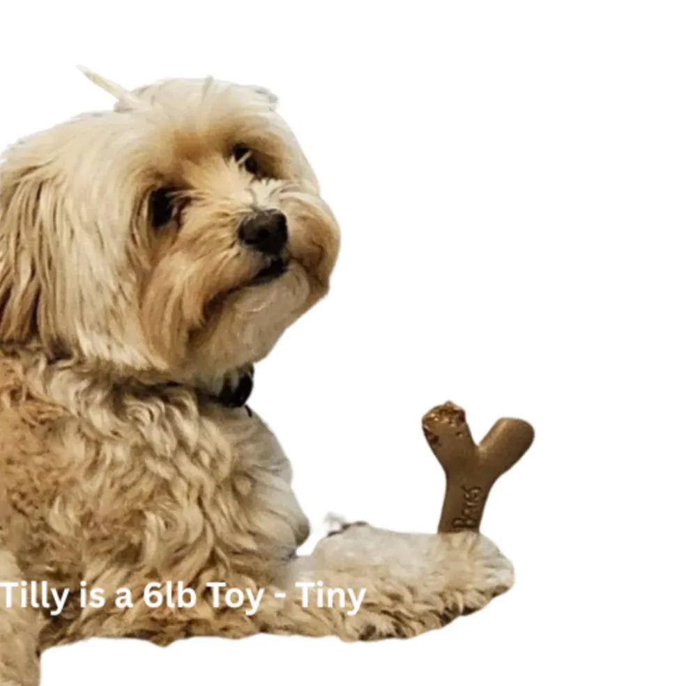 Augie Bones Tiny Bacon Softer Dog Chew Toy