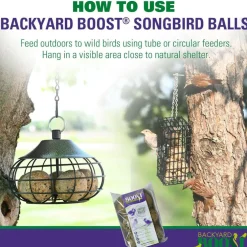 Backyard Boost Songbird Balls Enhanced Prebiotic Bird Treats (6 balls)