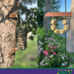 Backyard Boost Songbird Balls Enhanced Prebiotic Bird Treats (6 balls)