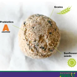 Backyard Boot Busy Balls For Digestion and Gut Health for Chickens (6 balls)