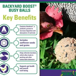 Backyard Boot Busy Balls For Digestion and Gut Health for Chickens (6 balls)