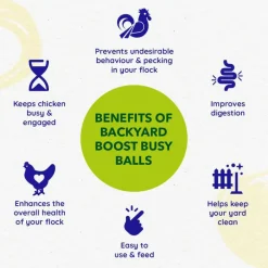 Backyard Boot Busy Balls For Digestion and Gut Health for Chickens (6 balls)
