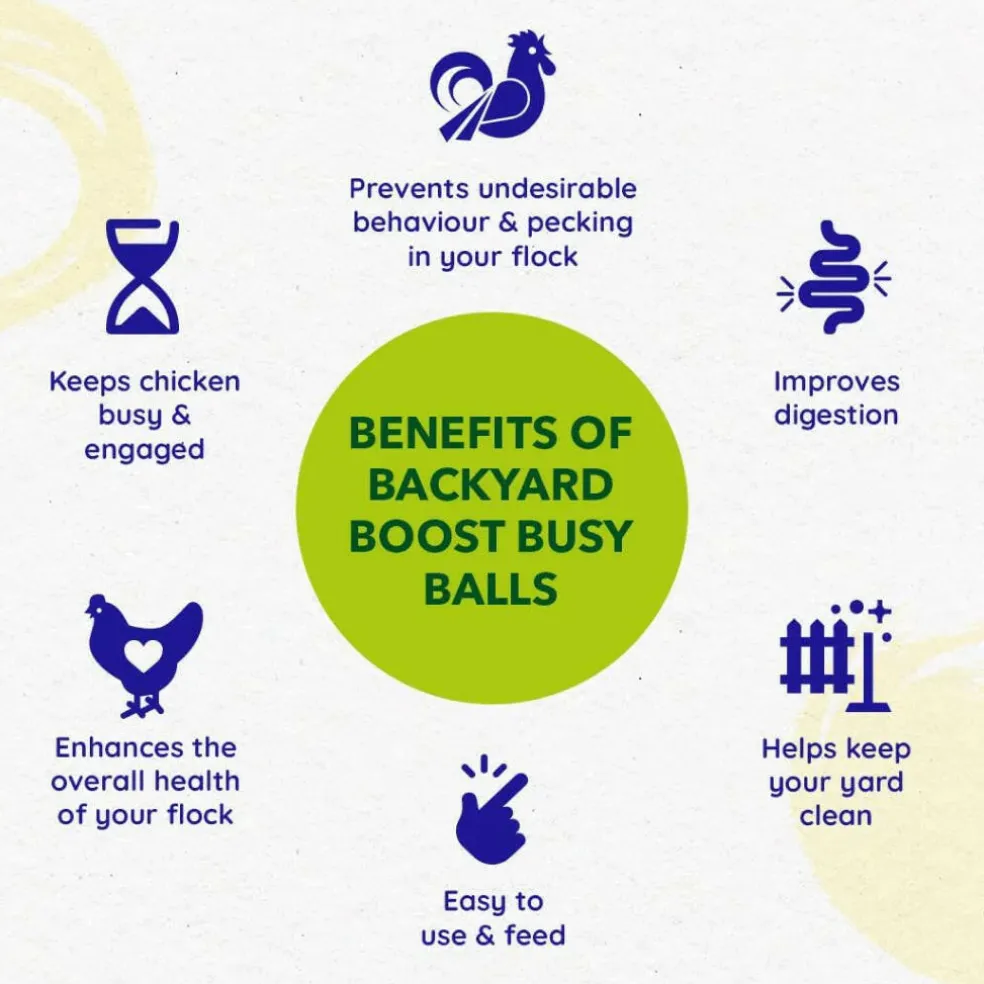 Backyard Boot Busy Balls For Digestion and Gut Health for Chickens (6 balls)