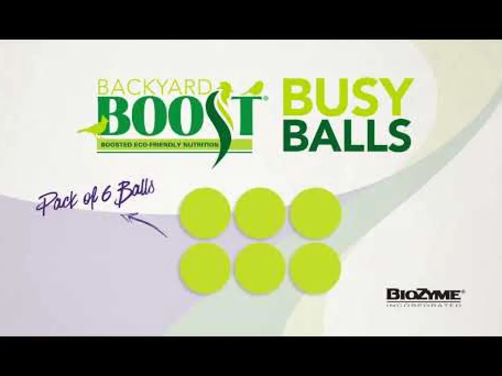 Backyard Boot Busy Balls For Digestion and Gut Health for Chickens (6 balls)