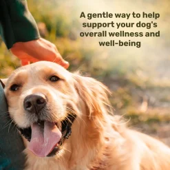 Badlands Ranch Super Soft Chews Food Supplement for Dogs, 60 count