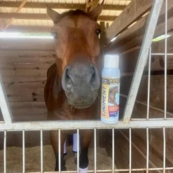 Banixx Premium Analgesic Liniment Spray for Horses (13.2 oz)