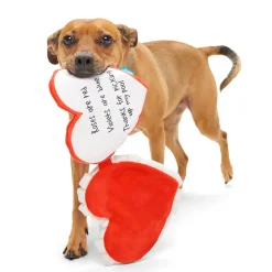 BARK Be Mine Growlentine, Heart-Shaped Plush & Squeaker Dog Toy
