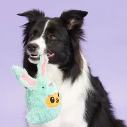 BARK Buddy The Nutty Bunny Easter Plush Dog Toy