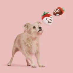 BARK Chocolick Strawberries Plush Dog Toy (Set of 2)