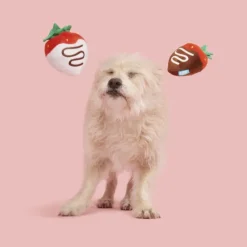 BARK Chocolick Strawberries Plush Dog Toy (Set of 2)