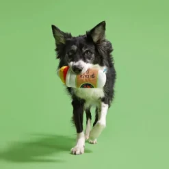 Bark Cold Boo Coffee Plush Toy For Dogs