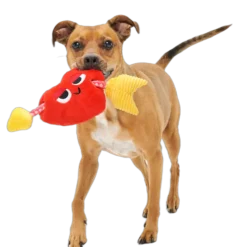 Bark Heart Throbert Heart-Shaped Plush Dog Toy