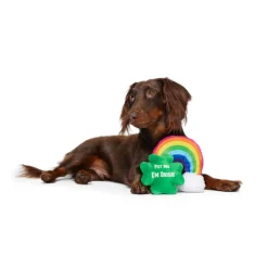 BARK Puppy Charms St. Patrick’s Day Theme Clover & Rainbow Set Plush Dog Toy
