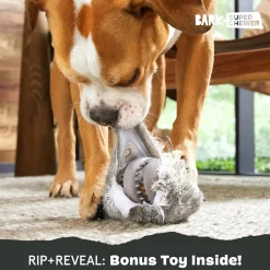 BARK Super Chewer Hare Raiser 2-in-1 Plush Exterior with Tough Center Treat Dispensing Dog Chew Toy