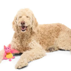 BARK Valentine Dingbert The Dragon Plush Dog Toy
