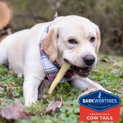 Barkworthies Cow Tails Treats For Dogs (6 oz)