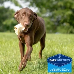Barkworthies Large Breed Variety Pack Chews For Dog, 4 chews