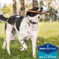 Barkworthies Odor-Free American Bully Sticks Treats For Dogs 12