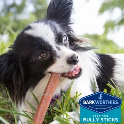 Barkworthies Odor-Free Bully Sticks Treats For Dogs