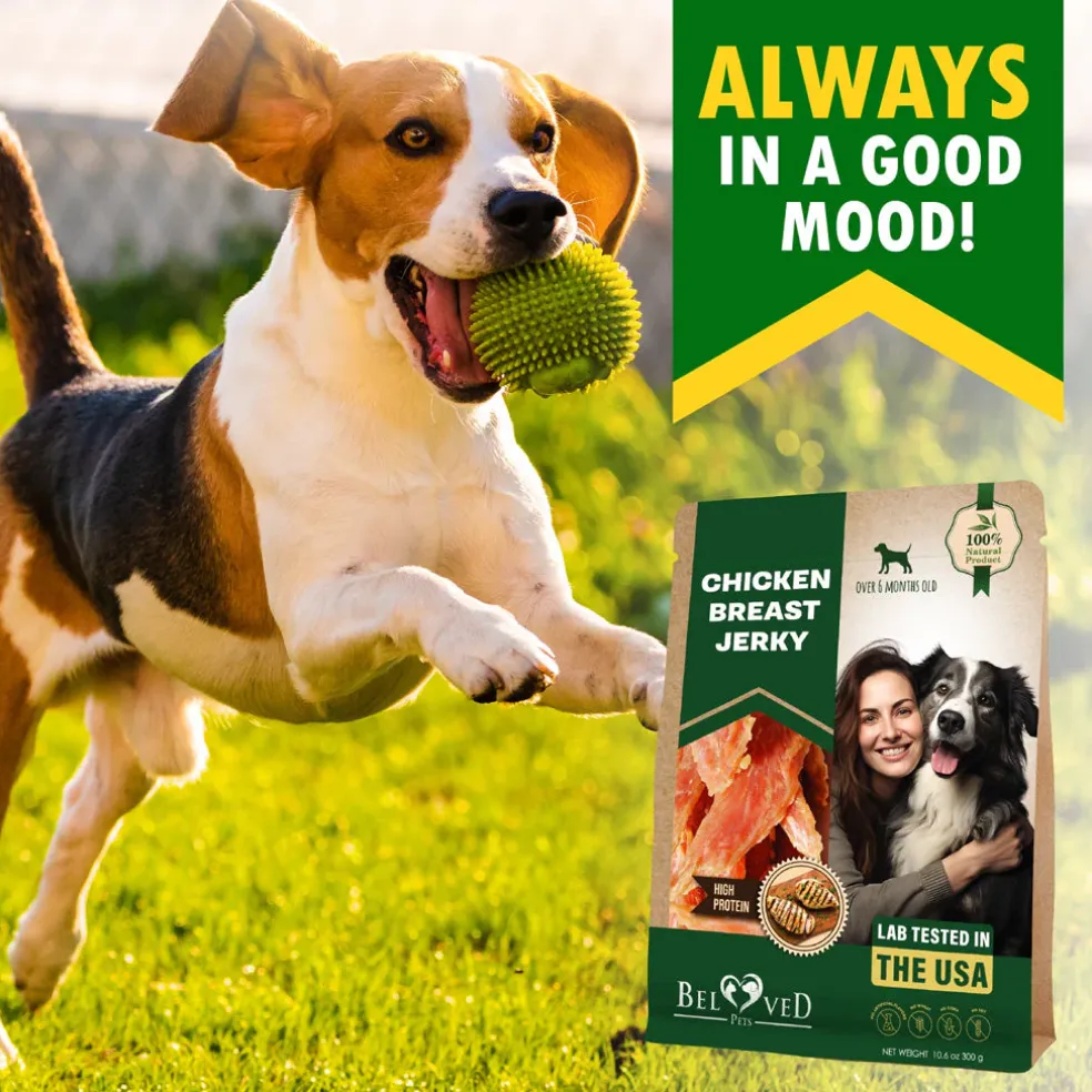 Beloved Pets Chicken Breast Jerky Dog Treats, 10.6-oz
