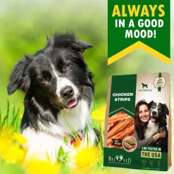 Beloved Pets Chicken Strips Dog Treats, 10.6-oz