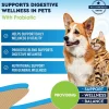 Beloved Pets Digestive Support with Probiotics for Dogs & Cats, 2-oz