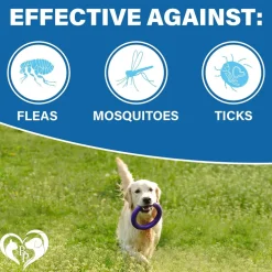 Beloved Pets Flea & Tick Prevention Support Soft Chews for Dogs, 10-oz