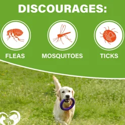 Beloved Pets Flea & Tick Support Chicken Flavor Chewable Supplements for Dogs, 10-oz