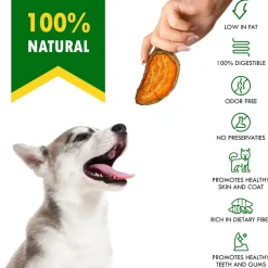 Beloved Pets Sweet Potato Chews Dog Treats, 10-oz