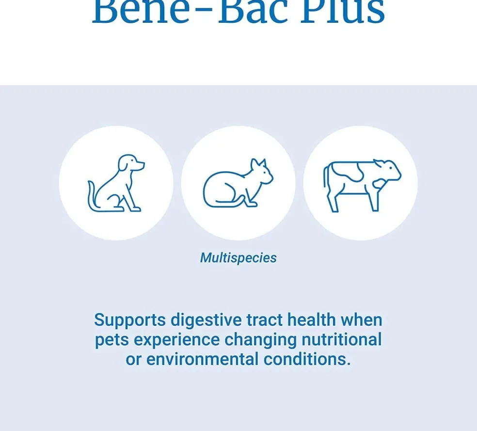 Bene-Bac Plus Pet Powder, 16 oz
