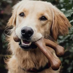 Benebone Bacon Flavor Wishbone Durable Chew Toy for Dogs