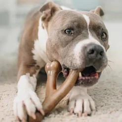 Benebone Peanut Butter Flavor Wishbone Durable Chew Toy for Dogs