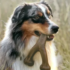 Benebone Peanut Butter Flavor Wishbone Durable Chew Toy for Dogs