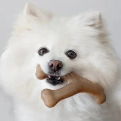 Benebone Peanut Butter Flavor Wishbone Durable Chew Toy for Dogs