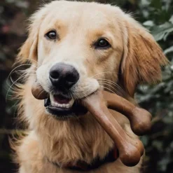 Benebone Peanut Butter Flavor Wishbone Durable Chew Toy for Dogs